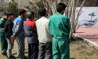 مراسم آیین روز درختکاری با نیت شهدای مدافع سلامت دانشگاه علوم پزشکی ایران